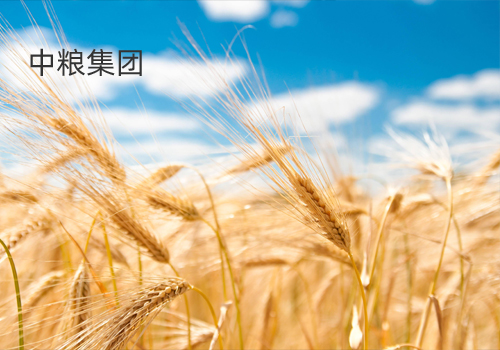 中糧名莊薈