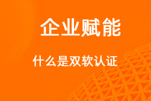 什么是雙軟認(rèn)證？享受那些優(yōu)惠政策-網(wǎng)站制作