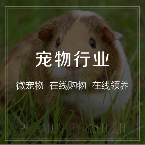 寵物行業(yè)整體解決方案-網(wǎng)站制作