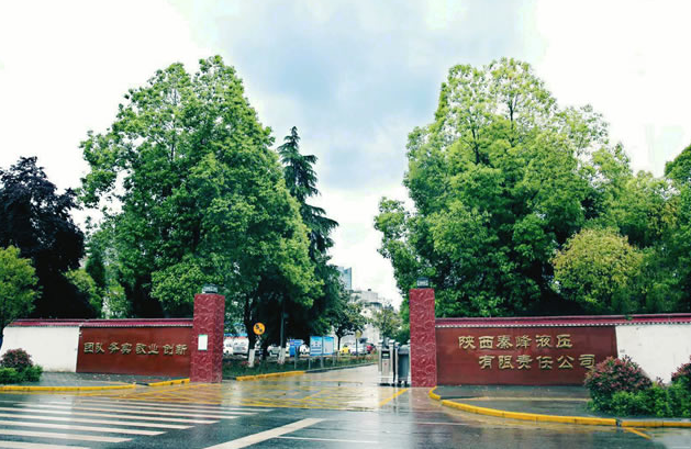 宇淼科技成功簽約陜西秦峰液壓有限責(zé)任公司-網(wǎng)站制作